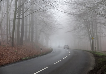 Fototapeta premium Poor visibility from fog in winter morning: View on german country road through forest with bare trees and headlights of car