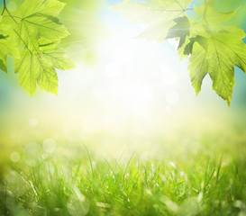 Background of green leaves and grass, summer or spring season. Background natural green plants landscape, ecology