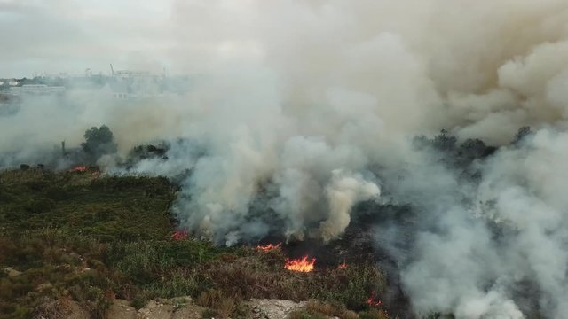 Big fire in the field, view from the drone