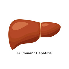 Fulminant hepatitis liver icon isolated on white background. Liver disease concept illustration in flat design.