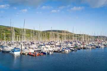 Fototapeta na wymiar Forest of sailing yacht masts at Largs marina. Scotland.