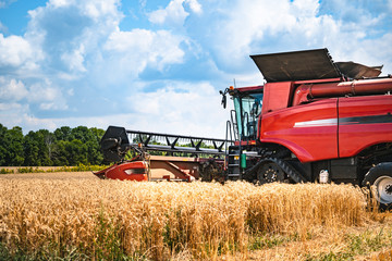 Obraz premium Combine harvester at work harvesting a field of wheat. Agricultural machinery theme.