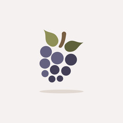 Blackberry. Icon with shadow on a beige background. Fruit vector illustration