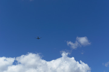 Plane is flying in cloudy sky