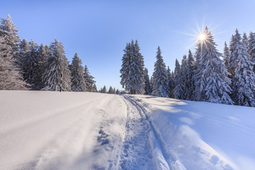 Obraz premium mountain landscape