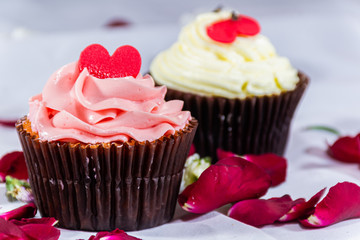 Valantine day and cupcake love on white background