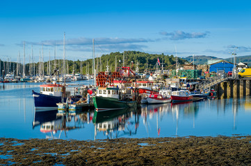 Tarbert harbor with colorful fisherman's boats and sailing yachts docked. Hebrides, Scotland.
