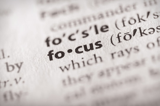 Dictionary Series - Focus