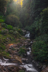 Açores Portugal linda cascata na floresta verde