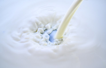 Milch