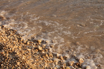 Popovici