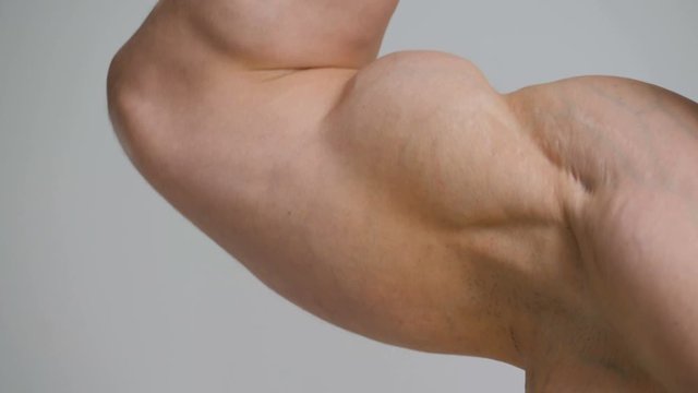Handsome bodybuilder posing on white background. Fitness muscular body