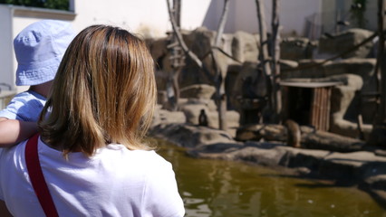 Dziecko z mamą w zoo. Wybieg dla małp. Chłopiec ogląda jak małpy się bawią.  © Marcin