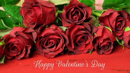 Happy Valentine's Day gift of red roses macro closup on red and pink background, with text greeting.