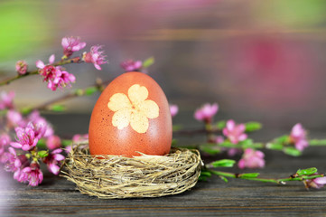 Fototapeta na wymiar Easter egg in nest and spring flowers on wooden background