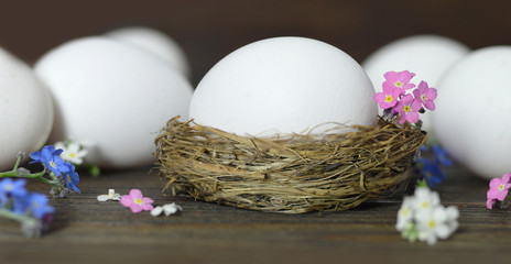 Easter card with white Easter eggs and spring flowers on wooden background