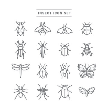 INSECT ICON SET