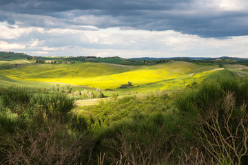 Tuscan spring landscape