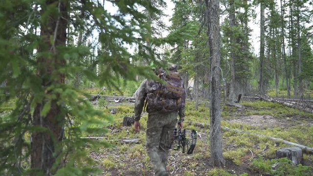 Hunter with Bow Leaves Camp Camo Colorado
