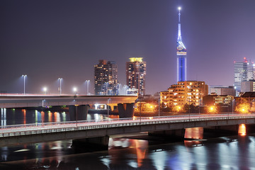 Fototapeta premium Bridges of a night city