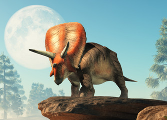 Torosaurus was ceratopsian dinosaur that was a frilled and horned, four legged animal. It lived during the cretaceous period. On a cliff by the moon. 3D Rendering © Daniel Eskridge