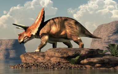 Torosaurus was ceratopsian dinosaur that was a frilled and horned, four legged animal. It lived during the cretaceous period. On a rock by a lake. 3D Rendering