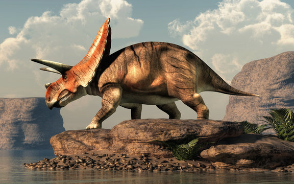 Fototapeta Torosaurus was ceratopsian dinosaur that was a frilled and horned, four legged animal. It lived during the cretaceous period. On a rock by a lake. 3D Rendering