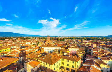 Lucca panoramic aerial view of city and Guinigi tower. Tuscany, Italy - obrazy, fototapety, plakaty