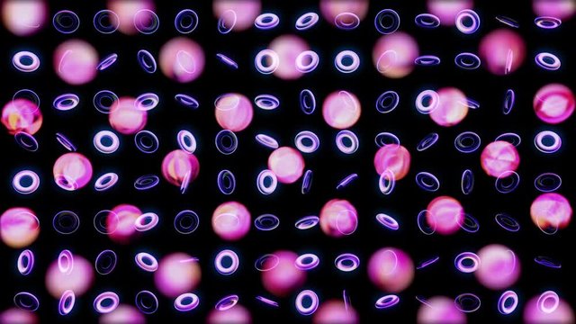 Abstract rows of rotating small rings and blurred circles on black background, seamless loop. Animation. Bokeh background and spinning purple rings.