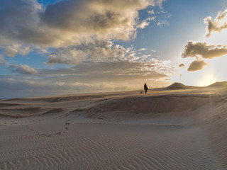 Fototapeta na wymiar Woman walking with dog through the dunes at sunset