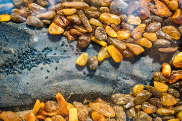 Amber grains with backlight illumination as texture or background. heap of amber stones backlightet glowing. Small raw amber. amber stones rectangular lie on a flat surface