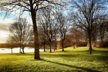 Eching, Upper Bavaria, Germany - Raching winter light on the shore of a Bavarian lake at sunset  makes long shadows of the trees on the green meadow