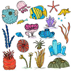 Big set of underwater world, coral reef design elements. Coral, algae, fish, underwater plants, shells, starfish. Hand drawing doodle.