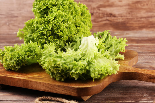 Lollo Bionda Lettuce. fresh organic lollo bianco on wooden table