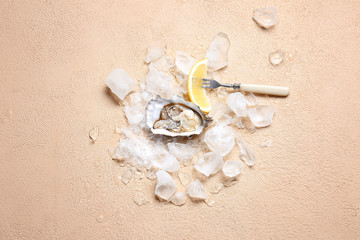 Tasty oyster and ice on color background