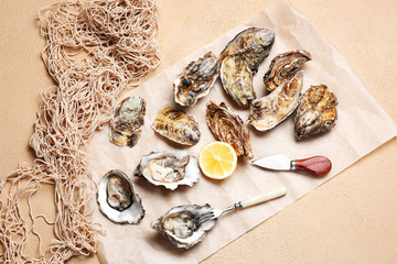 Tasty oysters on color background