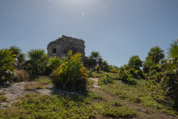 Tulum archaeological zone at noon in a sunny day