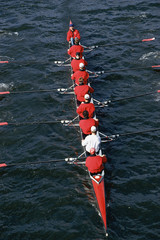 Crew team rowing boat in water