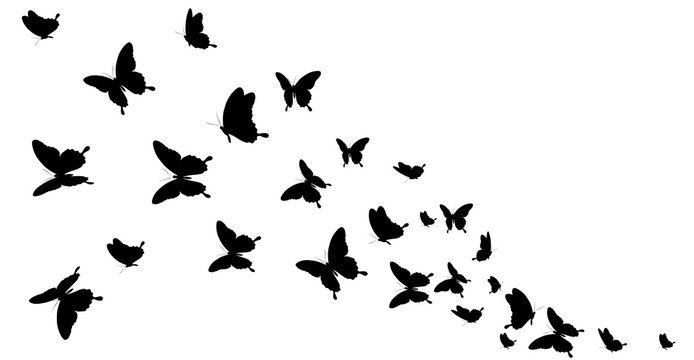 Free Free 258 Butterfly Swarm Svg SVG PNG EPS DXF File