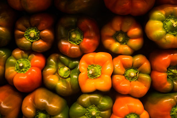tomatoes and peppers