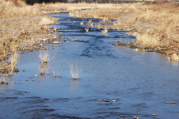 겨울 냇가