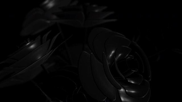 Close up of black minimal beautiful flower graphic design 3D render animated background