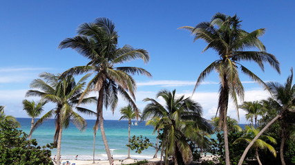 Fototapeta na wymiar Caribbean beach. Varadero