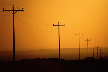 Phone lines lining road