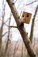 a tin can is hanging on a tree.old rusty brown tin can hanging on a tree branch in the forest