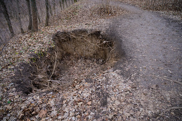 landslide in the forest earth erosion collapse of the soil