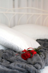 Red rose on a cosy bed. Romance concept. Selective focus.