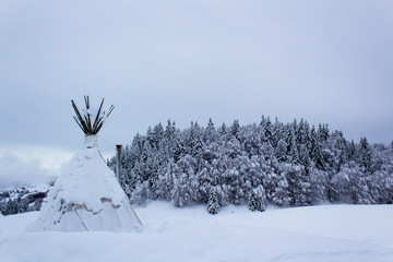 white winter snow alps mountain landscape with trees and indian igloo camping house
