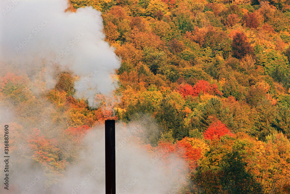 Wall mural smokestack against autumn trees