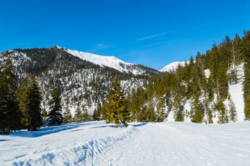 Winterlandschaft Alpen